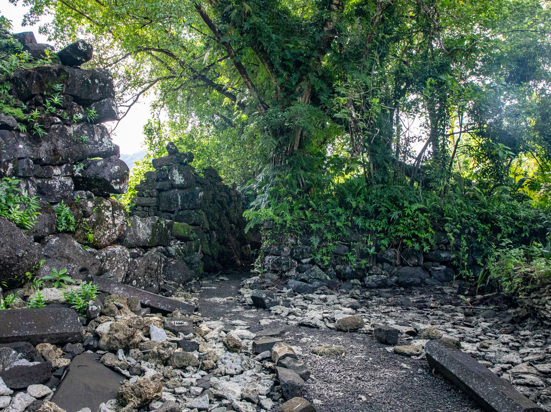 Lelu Island-Kosrae必去景点