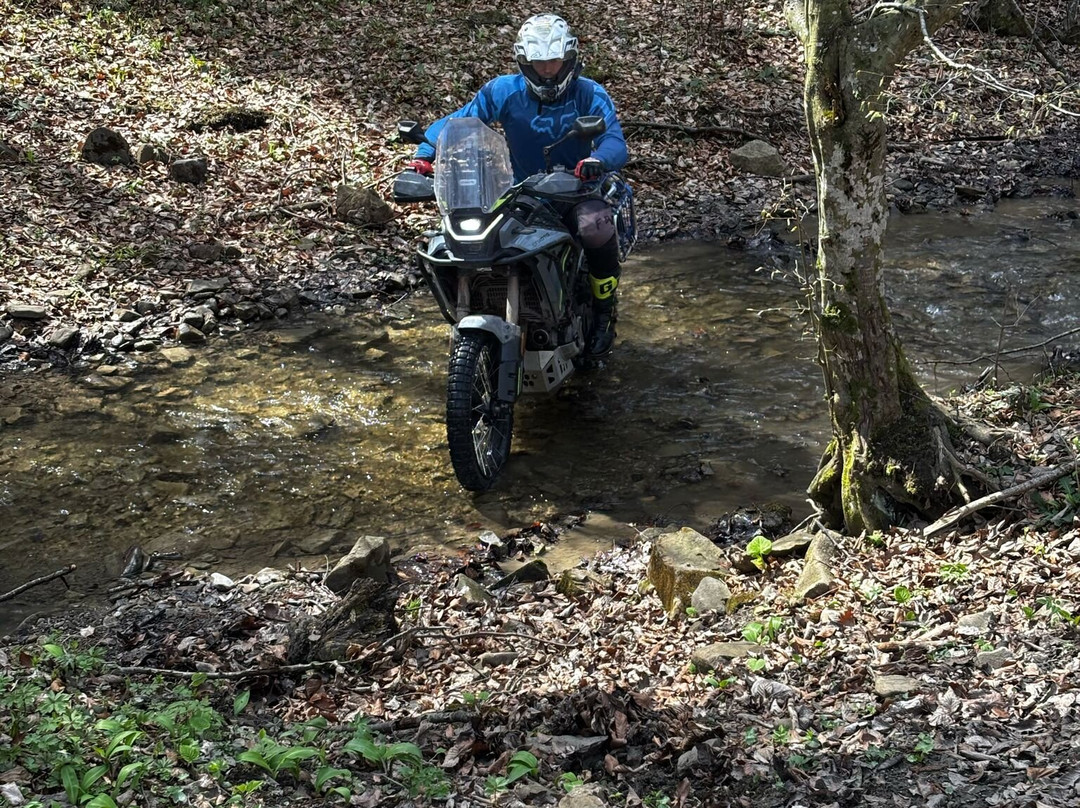 Bike2rent-布加勒斯特必去景点