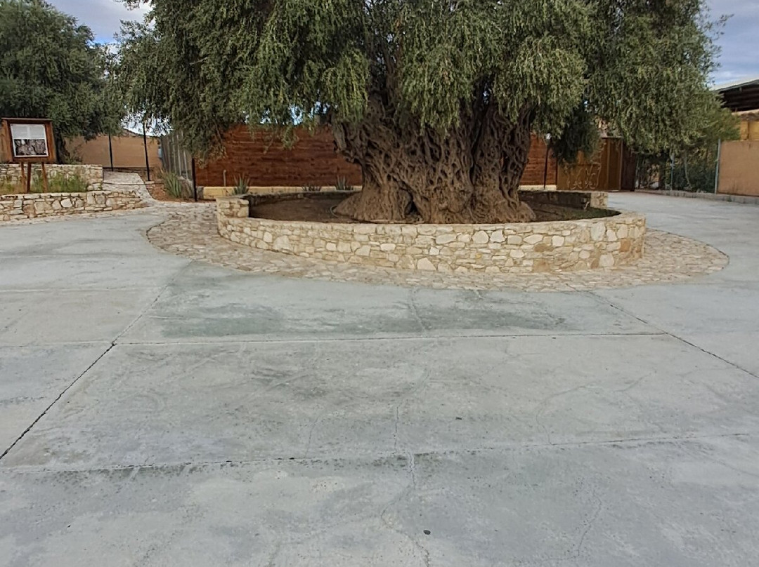 Golden Donkeys Farm-Skarinou必去景点