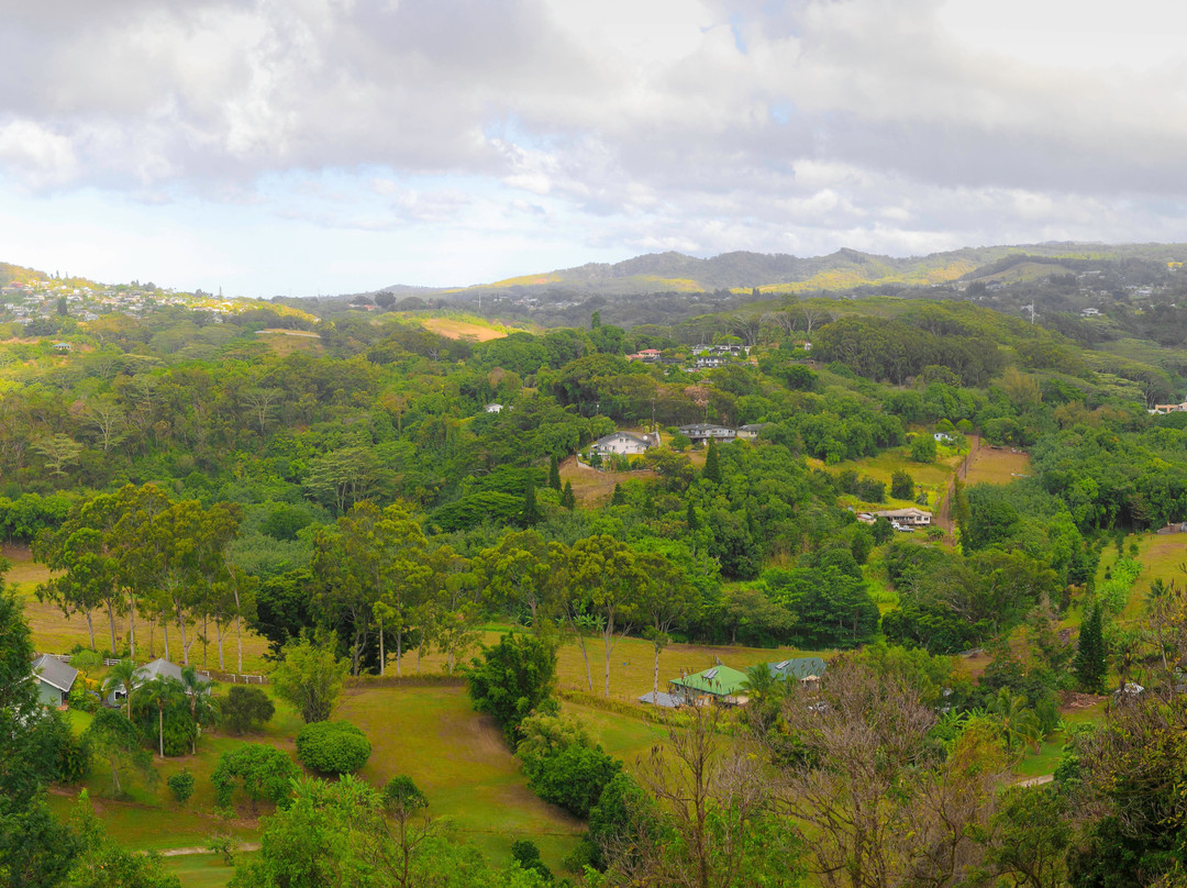 Marjorie's Kauai Inn主图