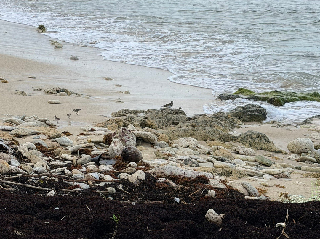 Judith's Fancy-Christiansted必去景点