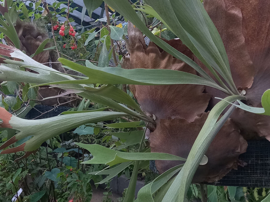 Giardino Botanico Rea-Trana必去景点