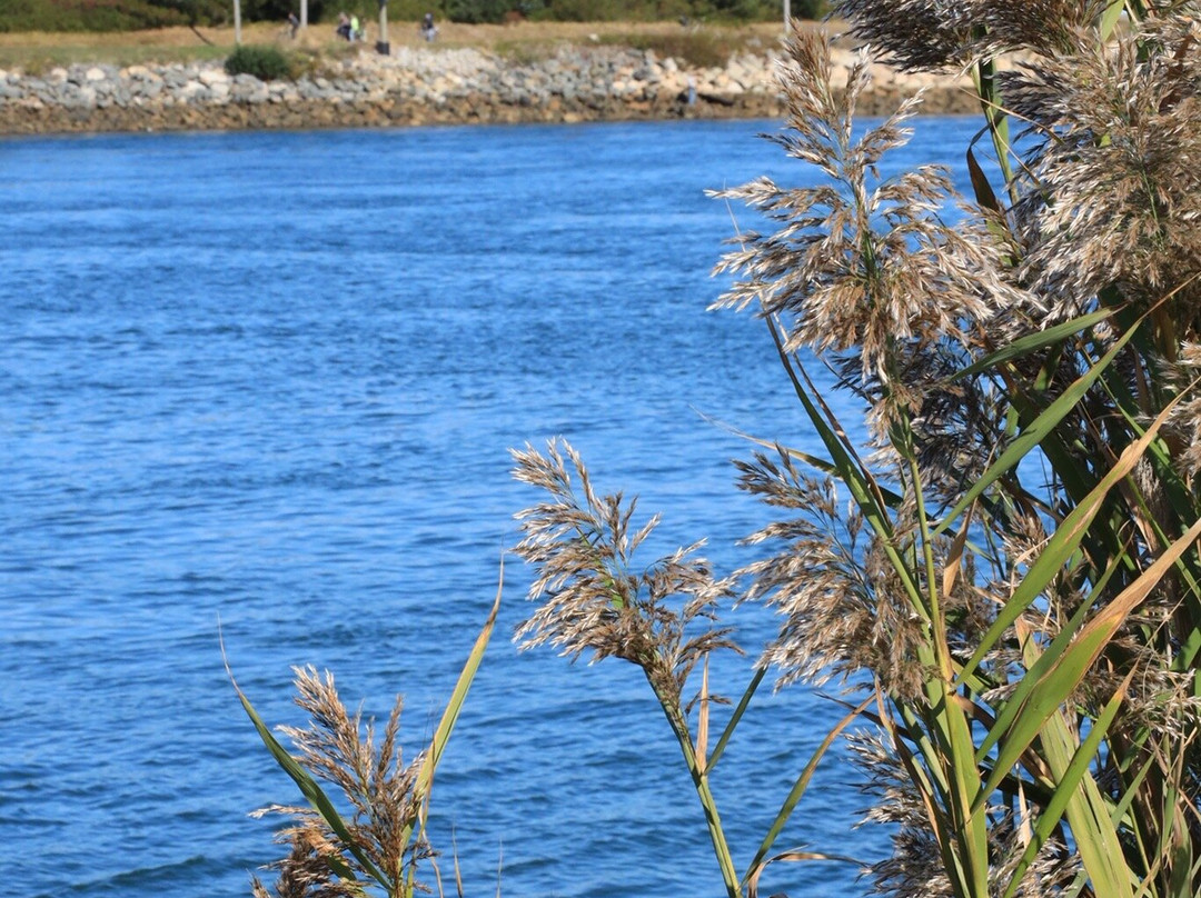 Cape Cod Canal Visitor Center-桑威奇必去景点