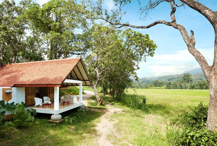 Jetwing Kaduruketha主图