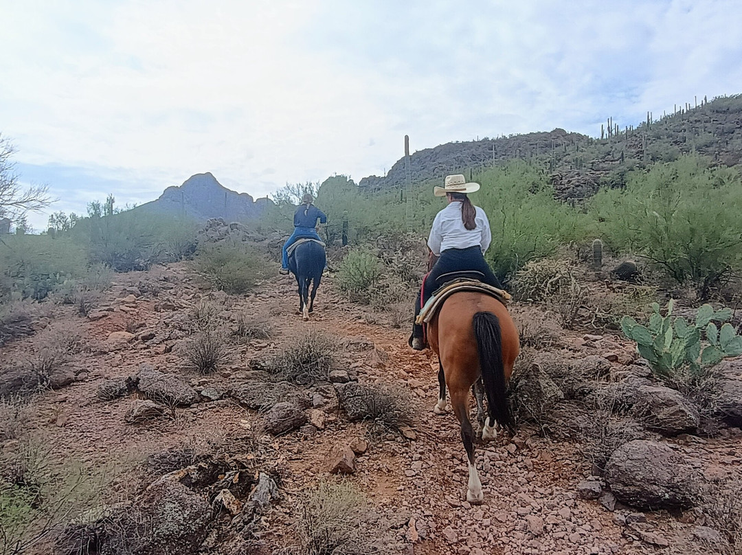 Tucson Mountain Stables-图森必去景点