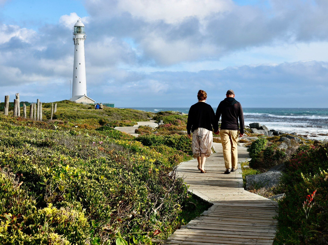 Cape Photographic Company-开普敦中心区必去景点