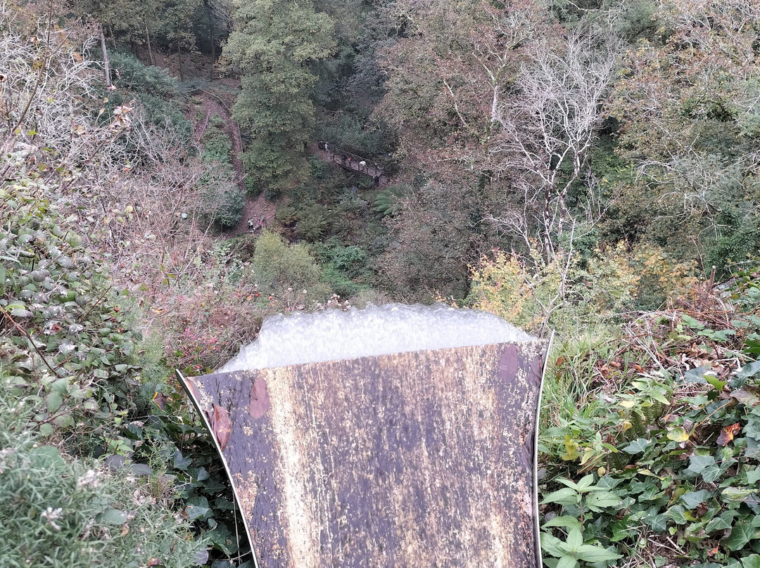Canonteign Falls-Christow必去景点