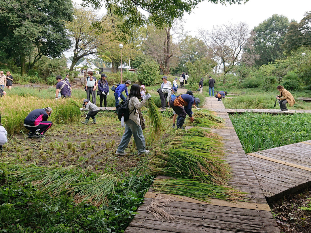 Gunma Flower Park-前桥县必去景点