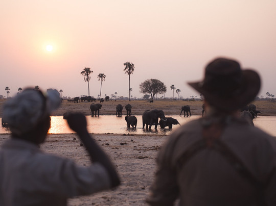 Jordan & Co. SAFARI-布拉瓦约必去景点