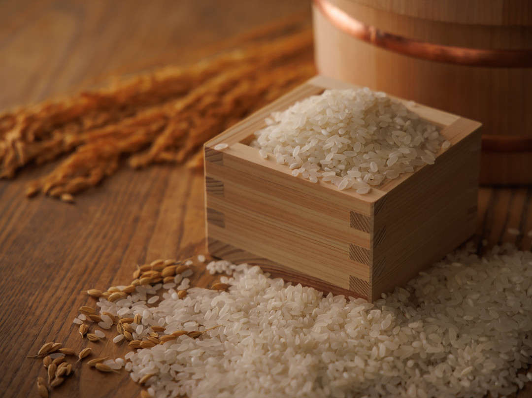 Hikiniku no Toriko Sakae主图