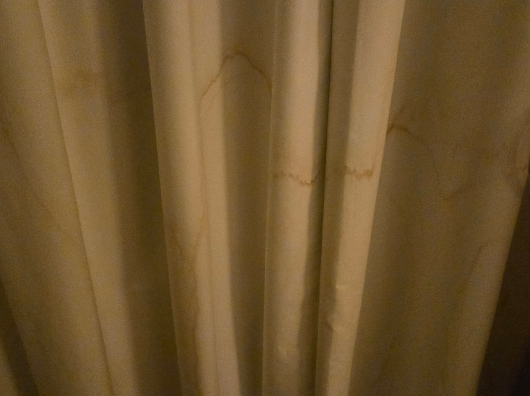 Candlewood Suites Harlingen By IHG主图