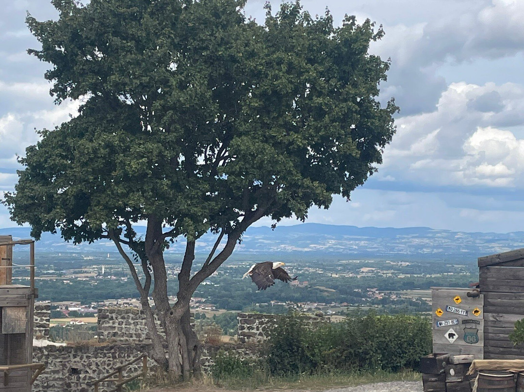 Volerie du Forez-Marcilly-le-Chatel必去景点