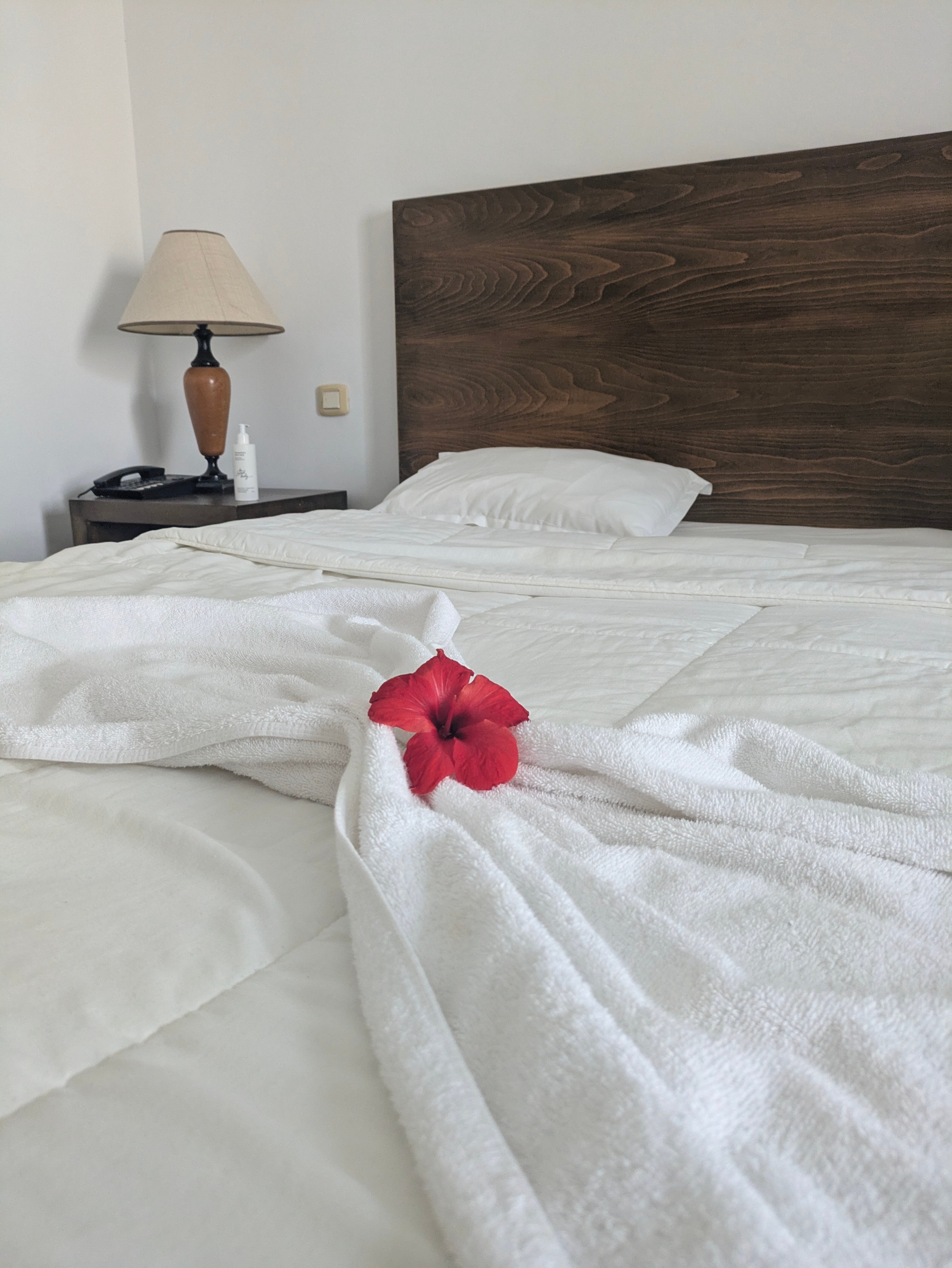 伊波罗之星索拉利亚酒店-浴室