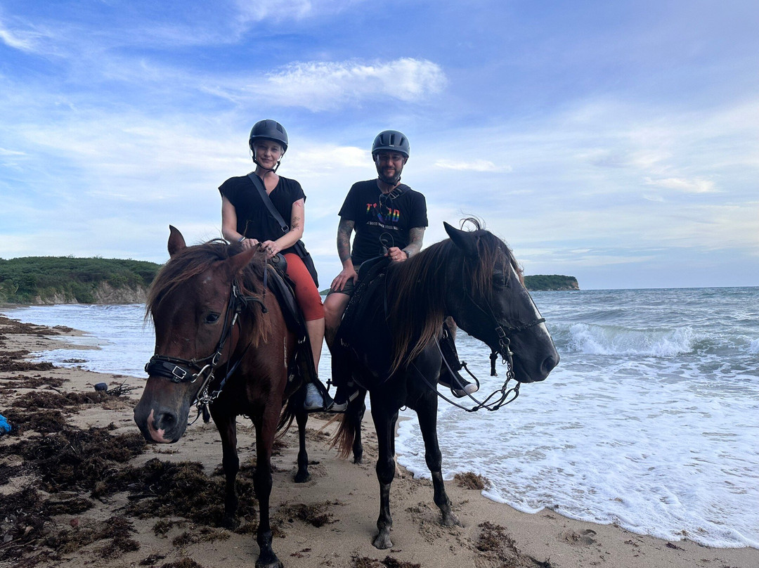 Esperanza Riding Company-维切克岛必去景点