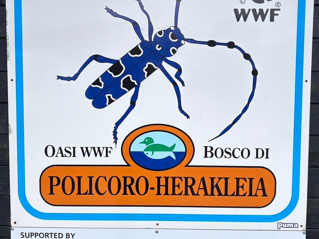 Oasi WWF Policoro Herakleia-波利科罗必去景点