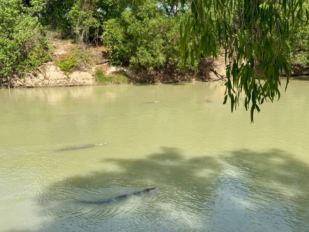 Cahills Crossing-卡卡杜国家公园必去景点