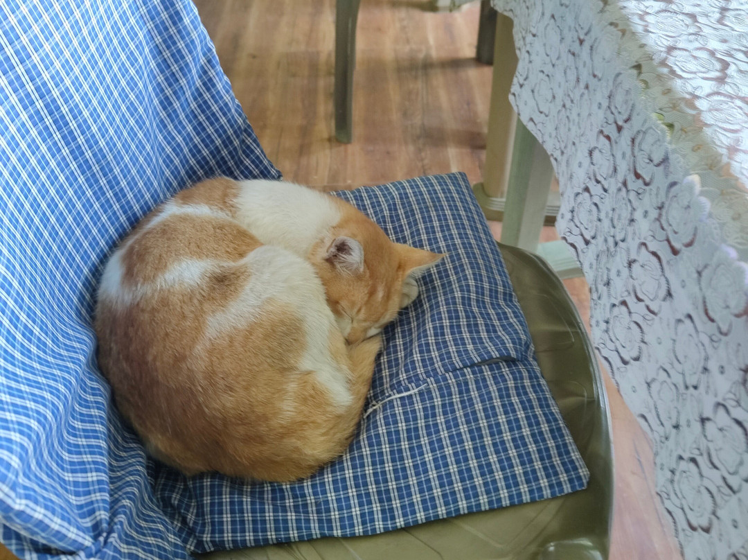 Casero Kolakham主图