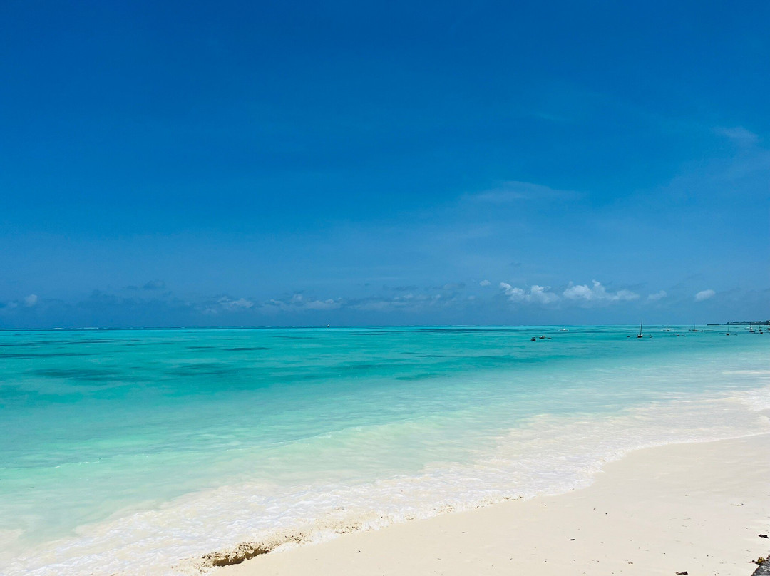 Casa Beach Hotel主图