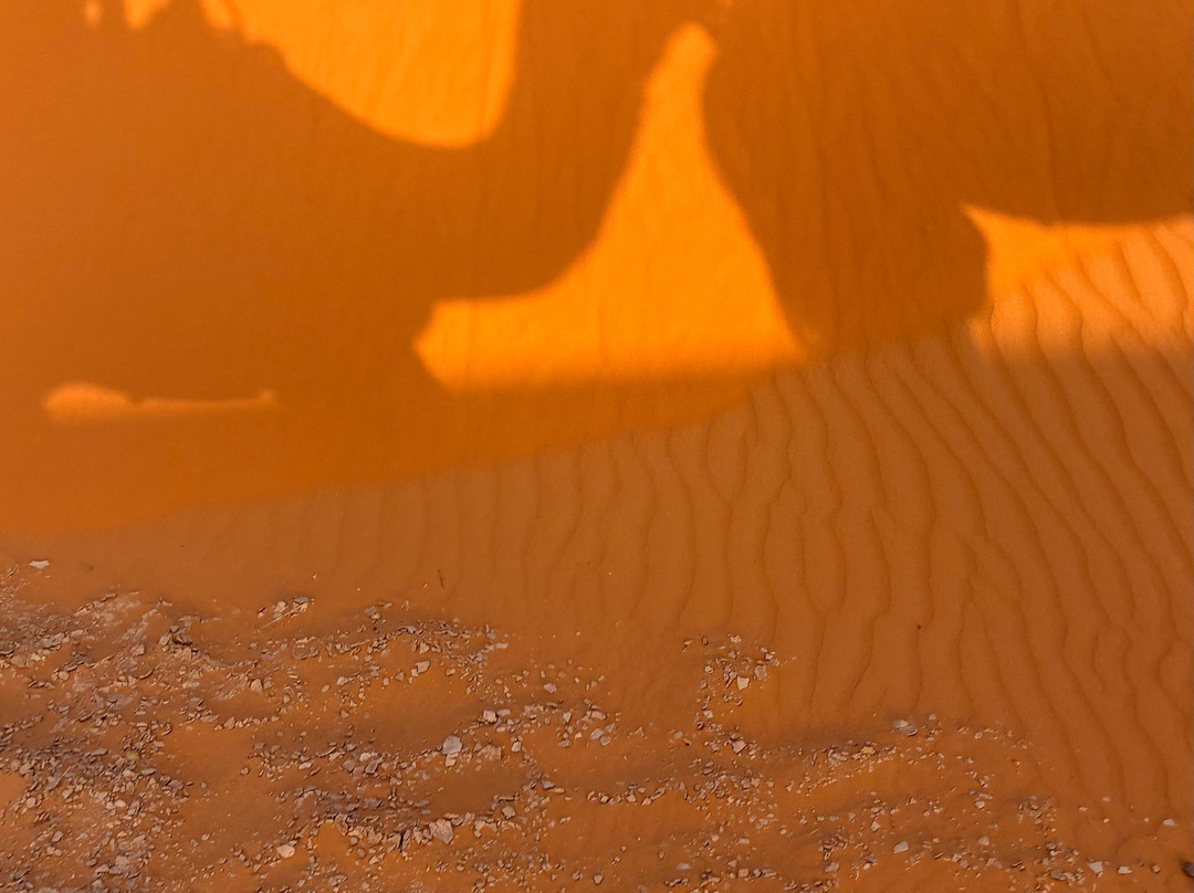 Desert Excursion Morocco-丹吉尔必去景点