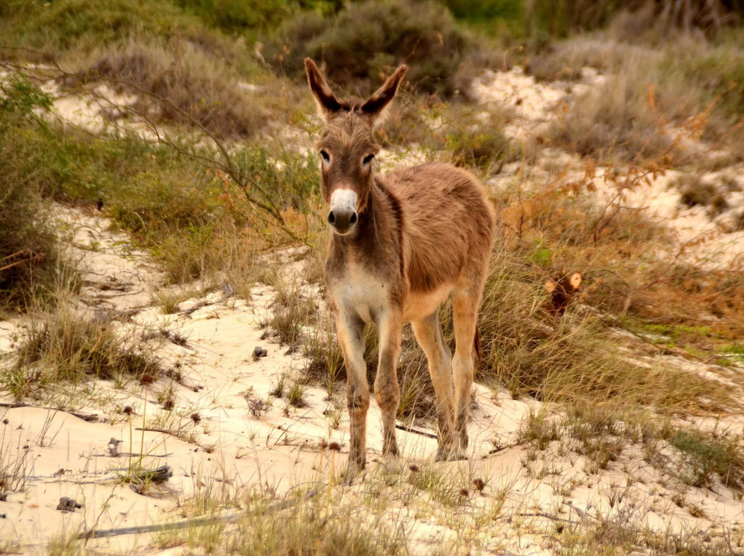 Fefetours-萨尔雷必去景点