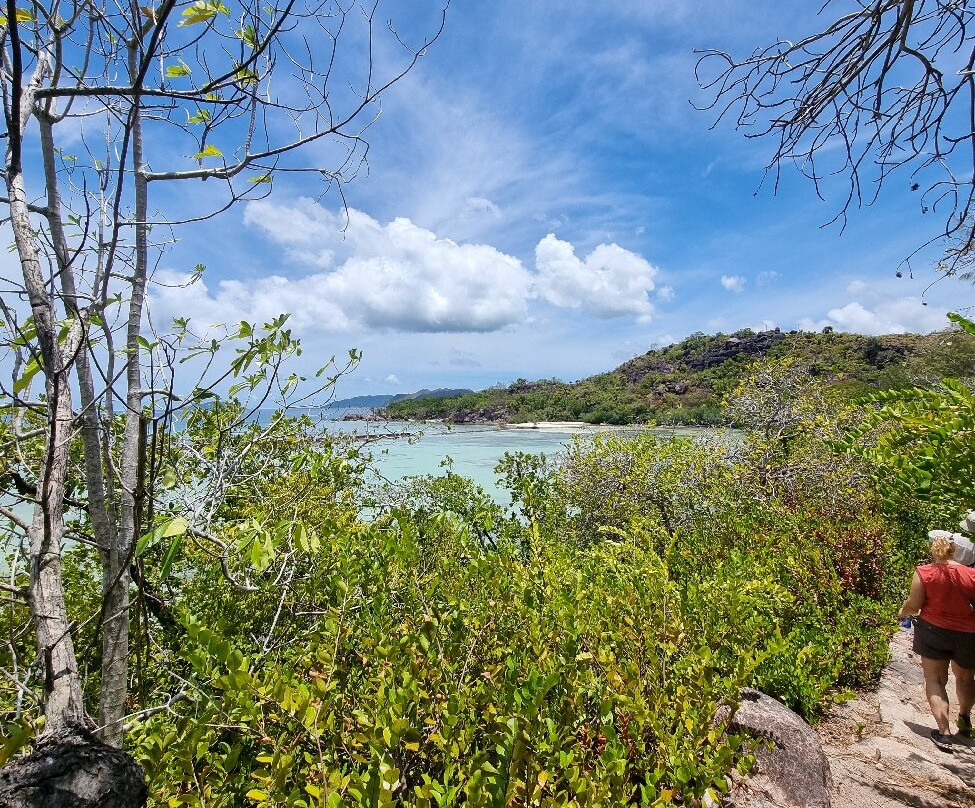 Loyalty Boat Charter-Baie Ste Anne必去景点