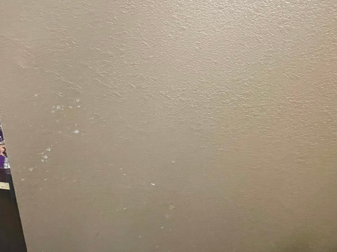 Microtel Inn & Suites By Wyndham Shelbyville主图