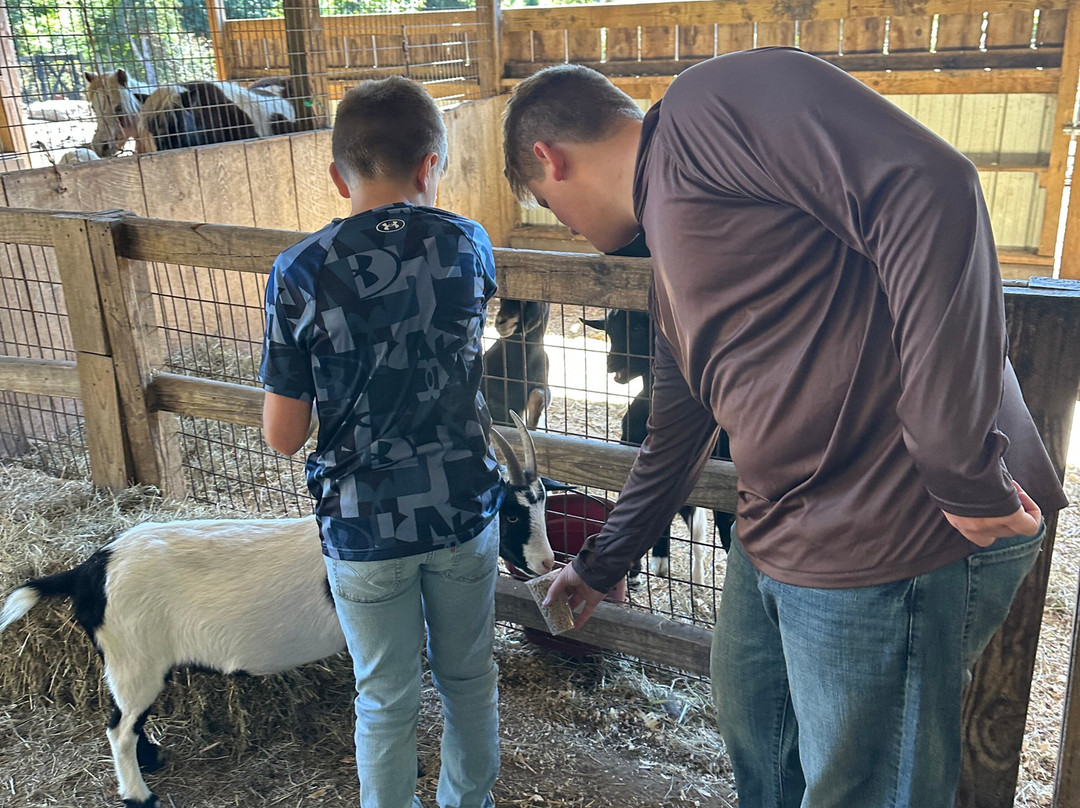 Barnyard Friends Peting Zoo-Morrilton必去景点
