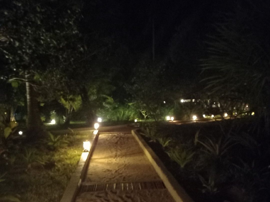 Pole Pole Bungalows主图