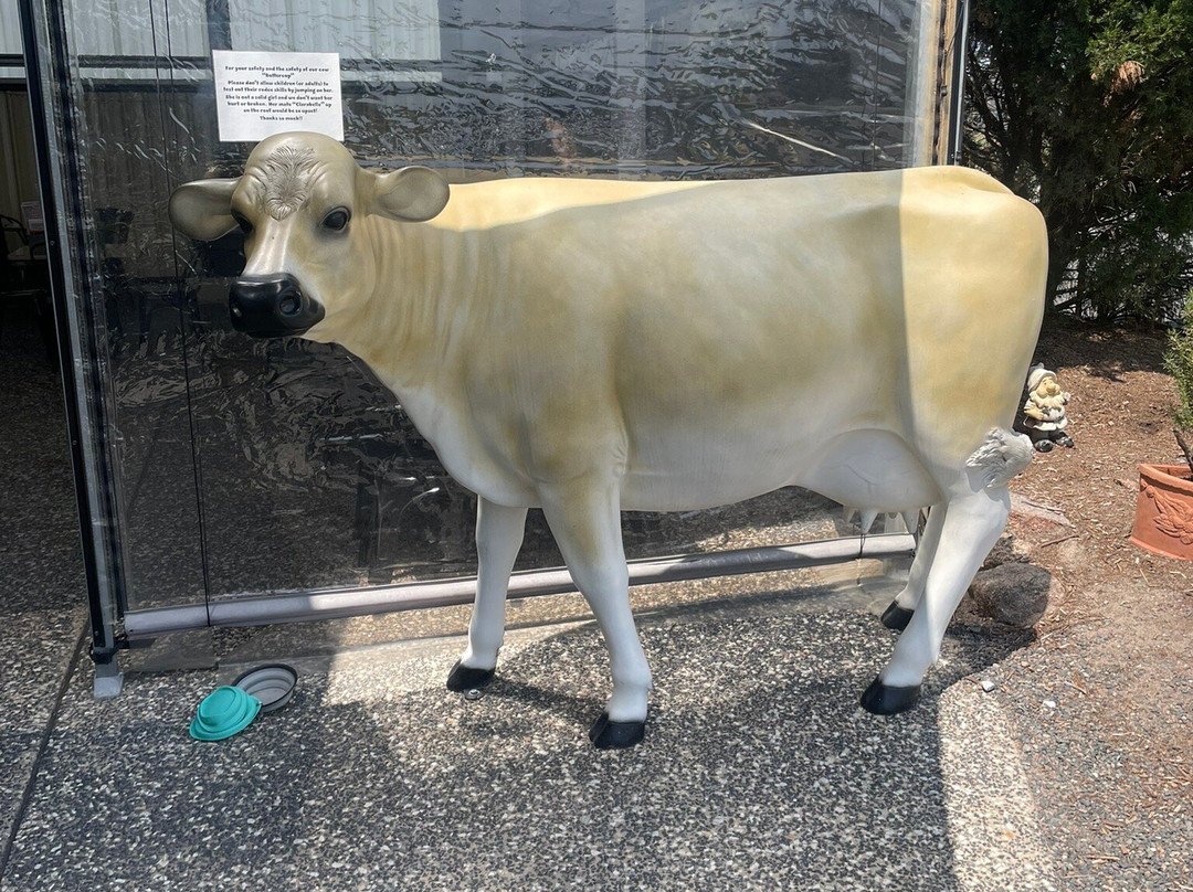 Stanthorpe Cheese-Thulimbah必去景点