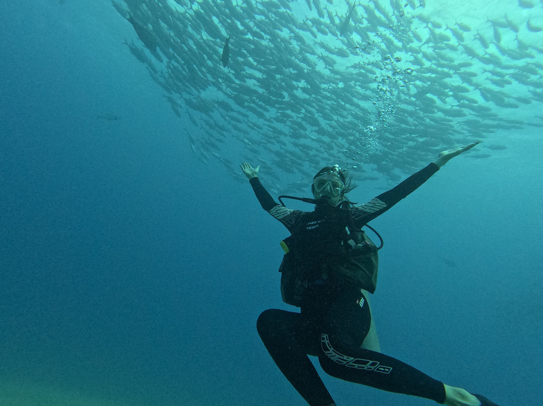 Cabo Pulmo Travel-Cabo Pulmo必去景点