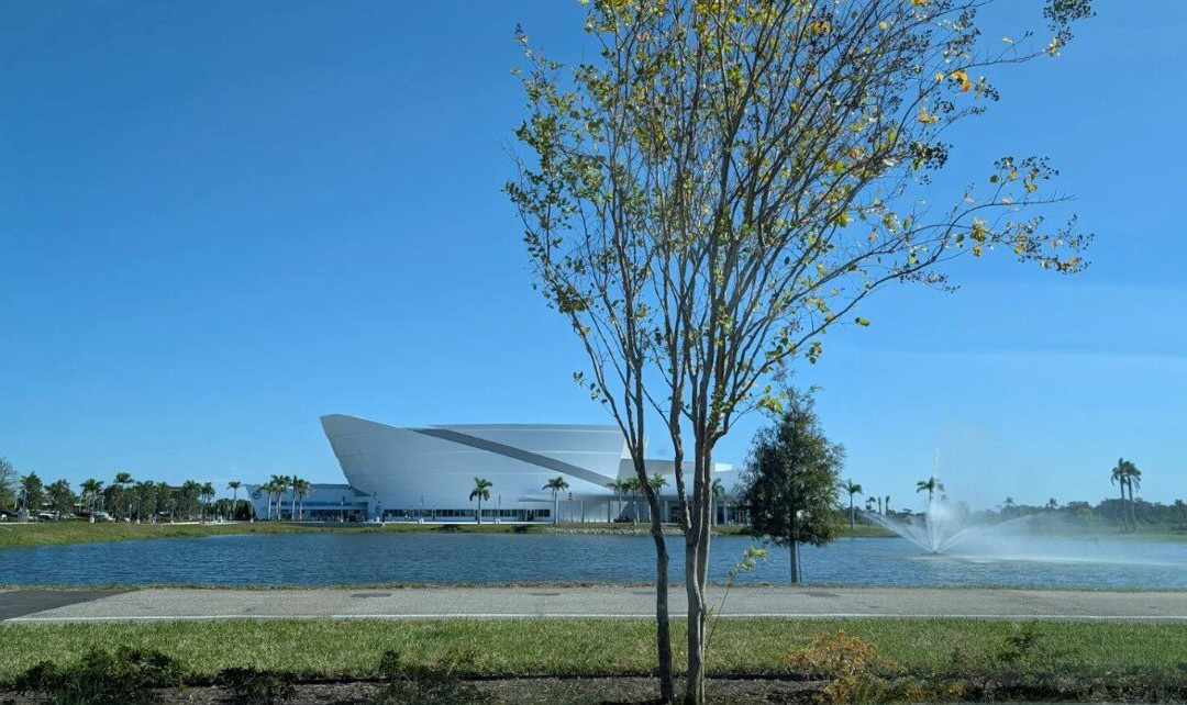 Mote Marine Laboratory & Aquarium-萨拉索塔必去景点