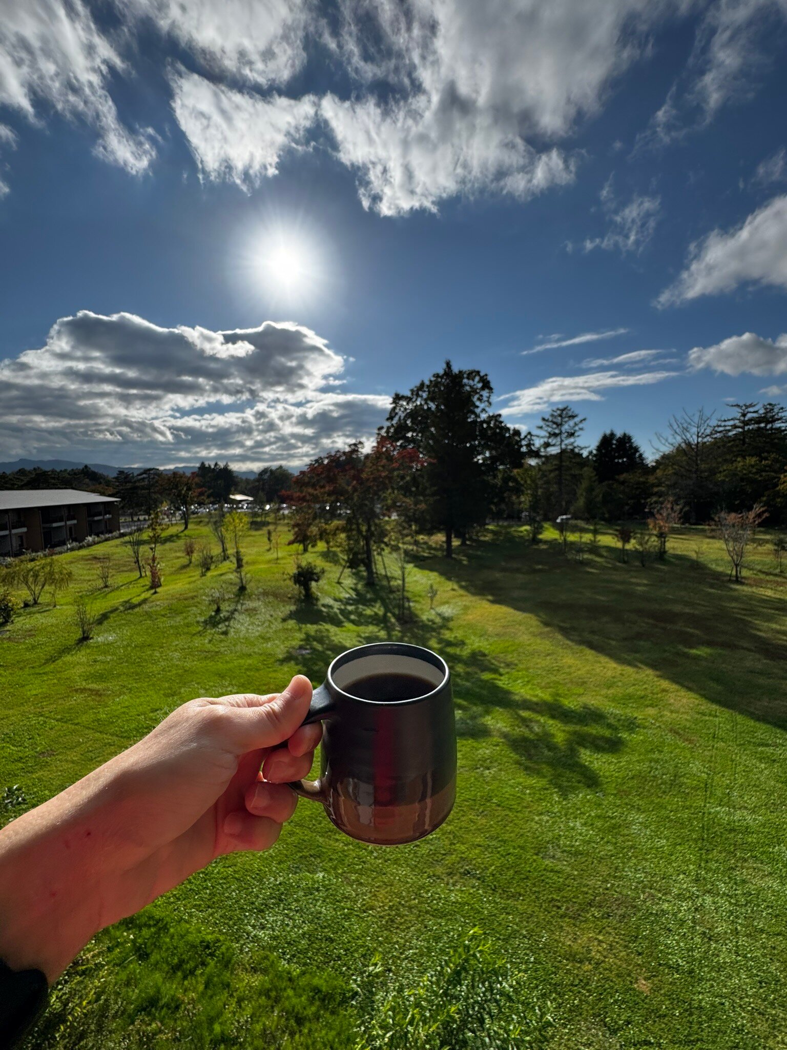 轻井泽皇家王子大饭店-官方