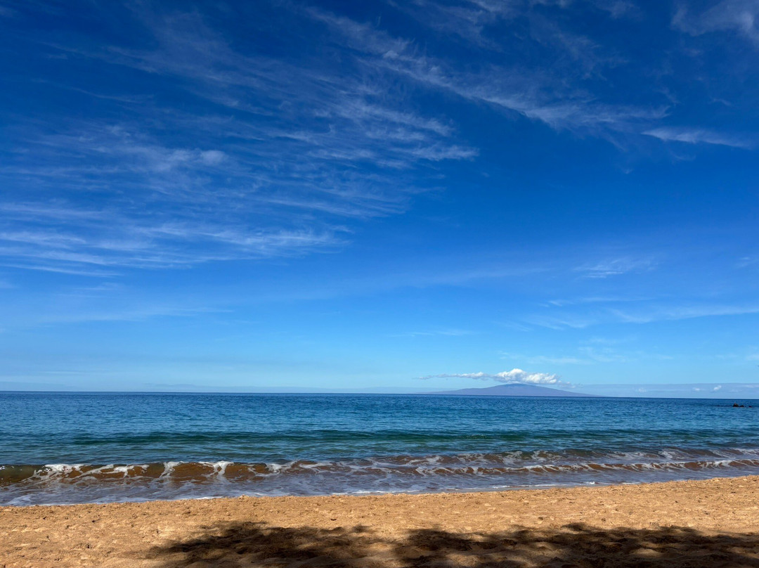 Palauea Beach-维雷亚必去景点