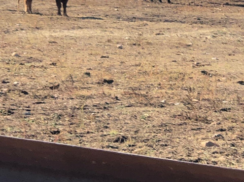 Aprende de Toros-塞维利亚必去景点