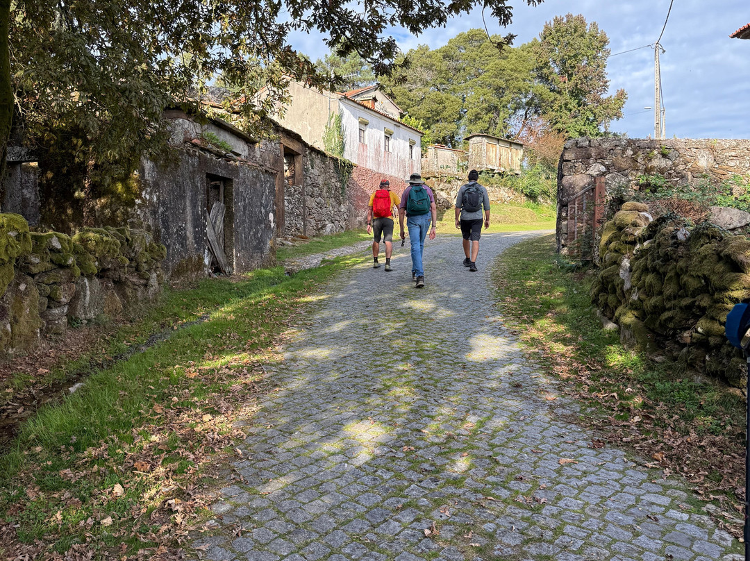 Terracotta Journeys-卡斯凯什必去景点