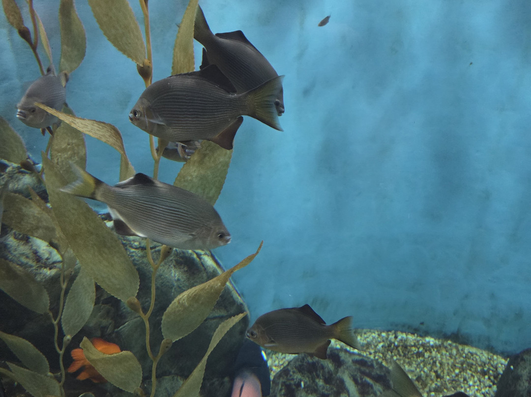 Milwaukee County Zoo-密尔沃基必去景点