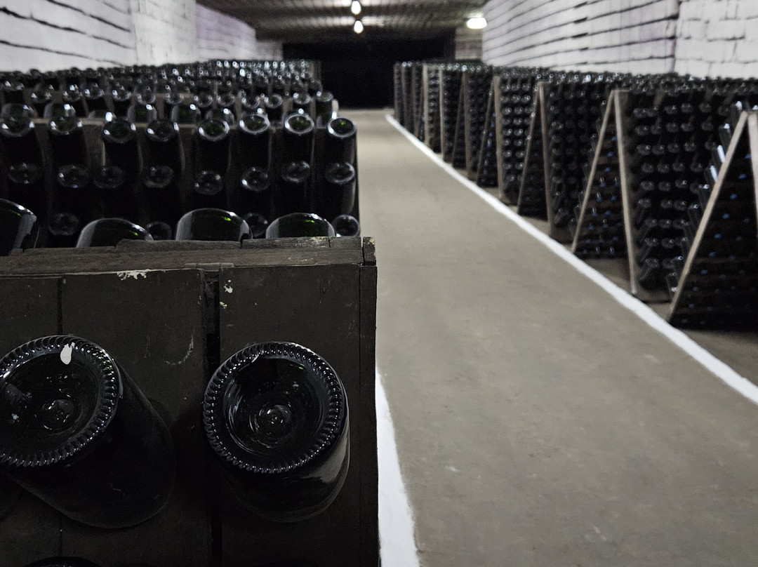 Cricova Winery-Cricova必去景点