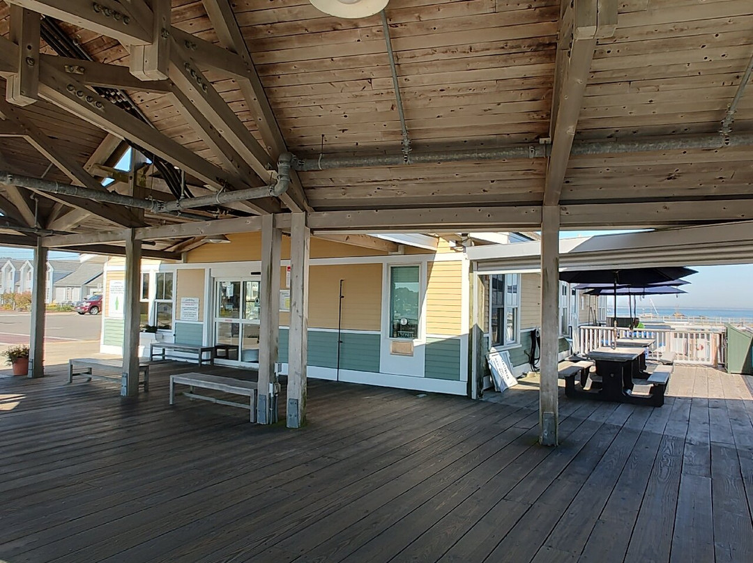 The Steamship Authority-Oak Bluffs必去景点