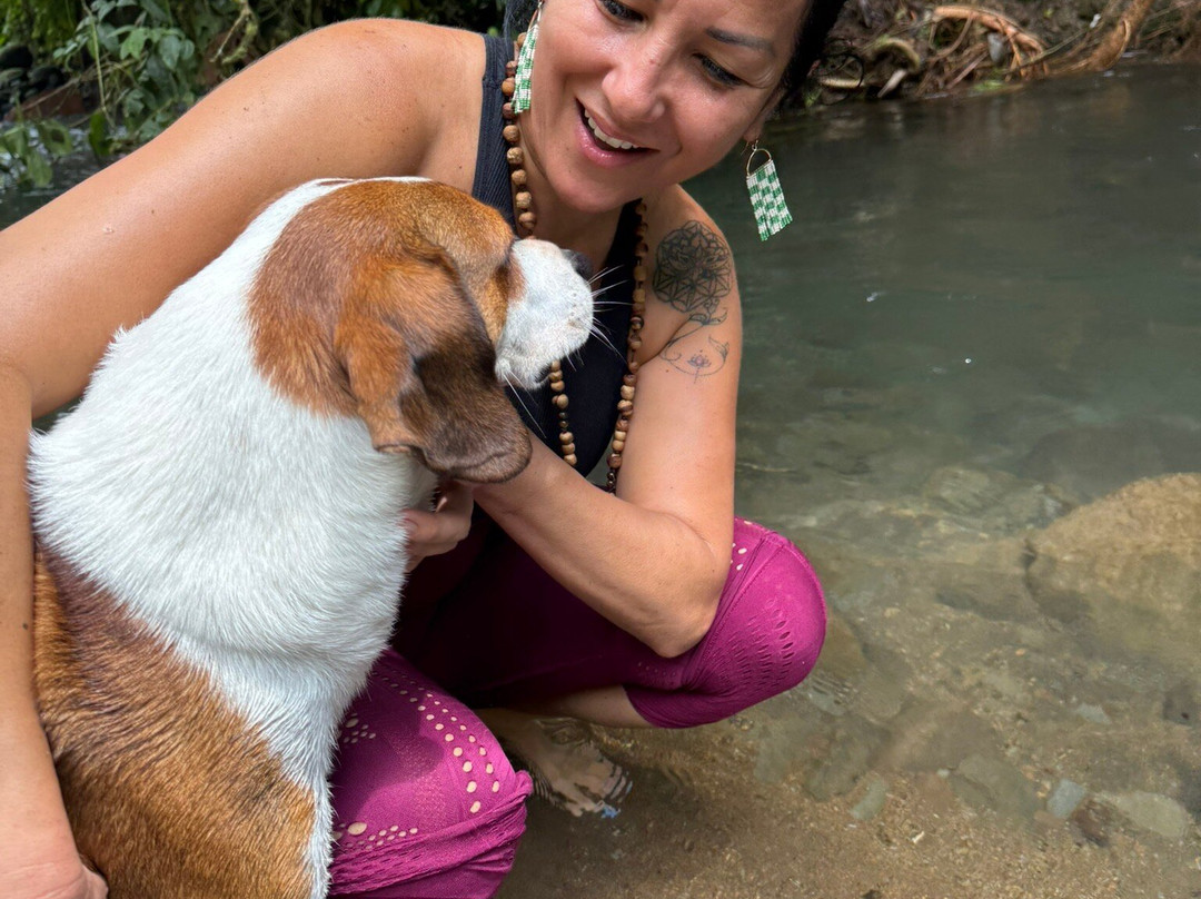 Gavilana Permaculture-El Castillo必去景点