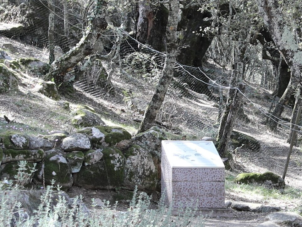 Le village des tortues