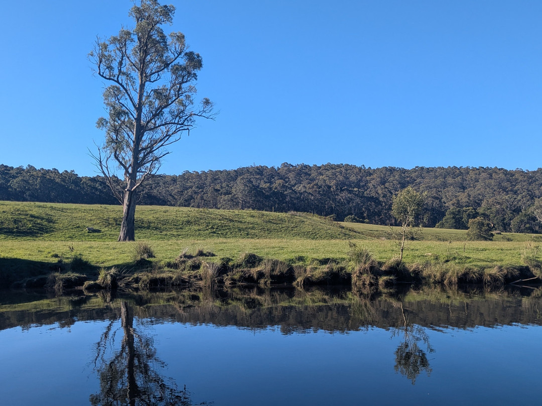 Leven River Cruises-Ulverstone必去景点