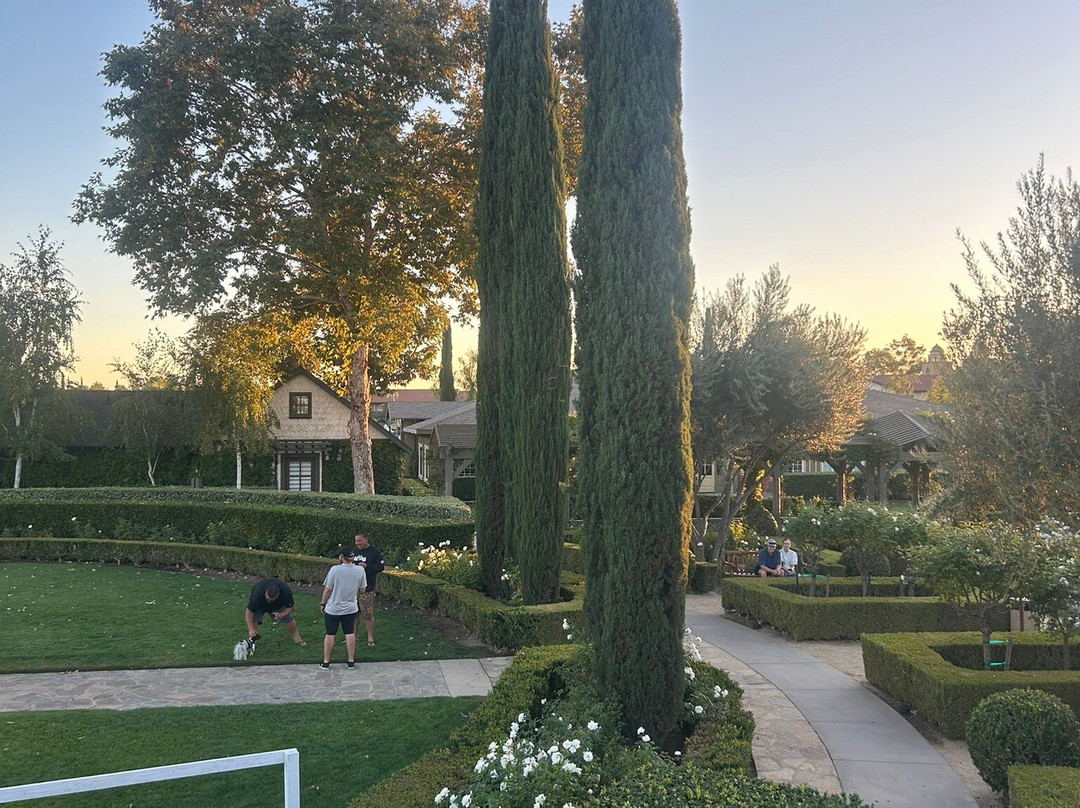 Ponte Winery-特曼库拉必去景点