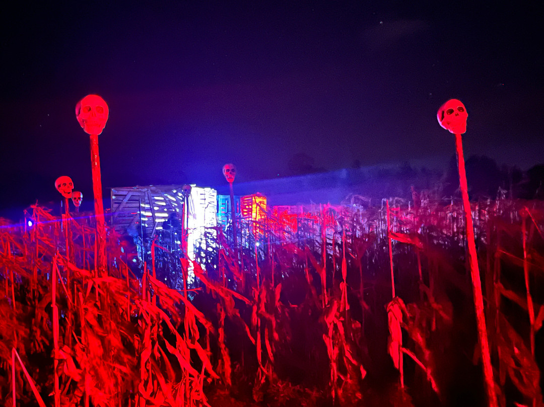 Quex Adventure Farm Park-Birchington必去景点