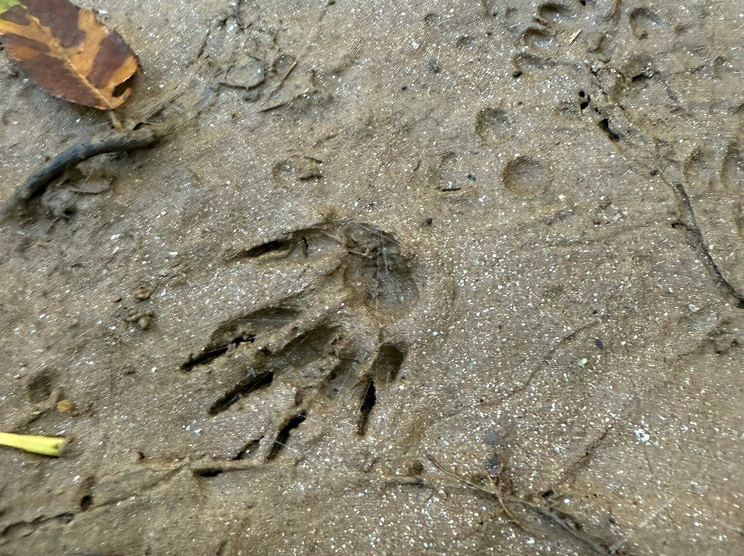 Sandy Creek Nature Center-阿森斯必去景点