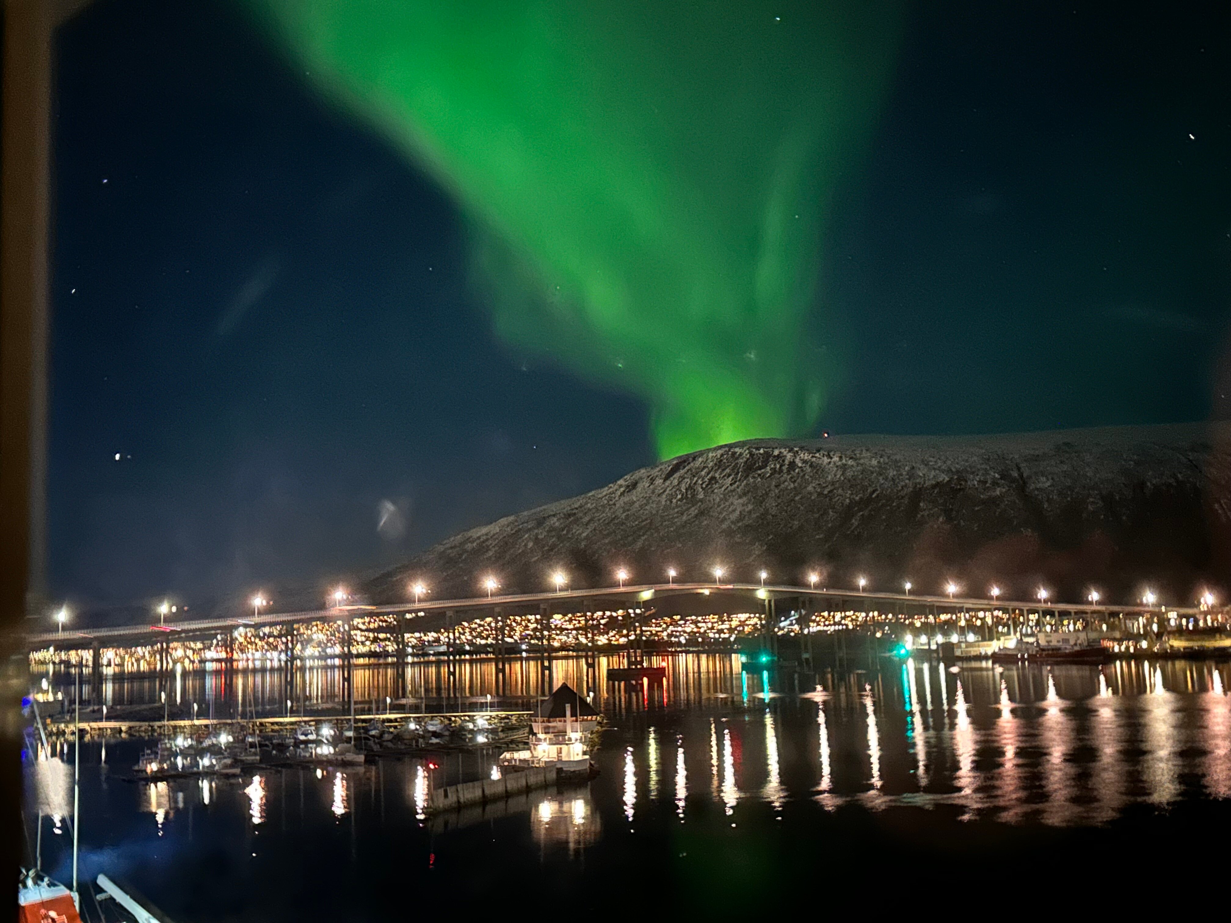 斯堪迪克伊萨维斯酒店-酒店景观