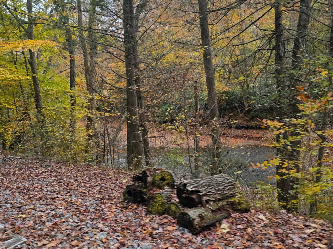 Rail Explorers: Elk River Division-Clay必去景点