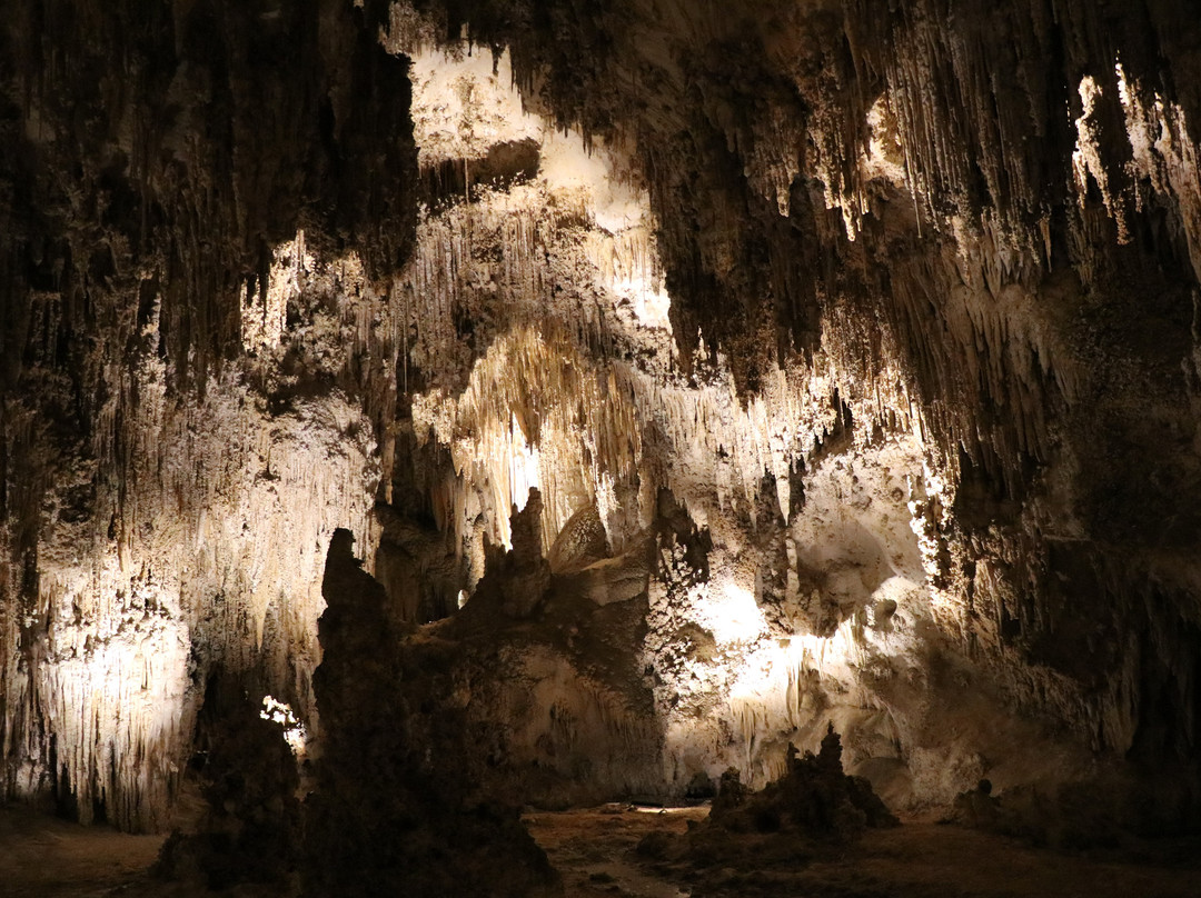 King's Palace-卡尔斯巴德洞穴国家公园必去景点