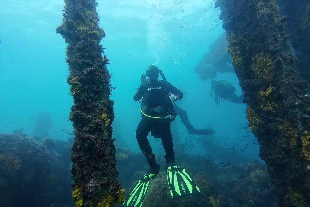 Haliotis Dive Center-明德卢必去景点