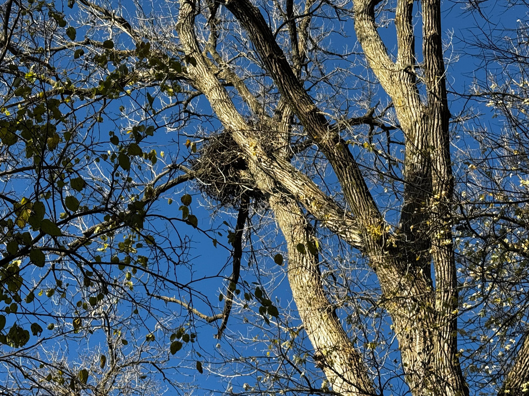 Devonian Fossil Gorge-爱荷华城必去景点