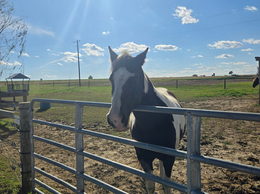 Strasburg Scooter Tours-Strasburg必去景点